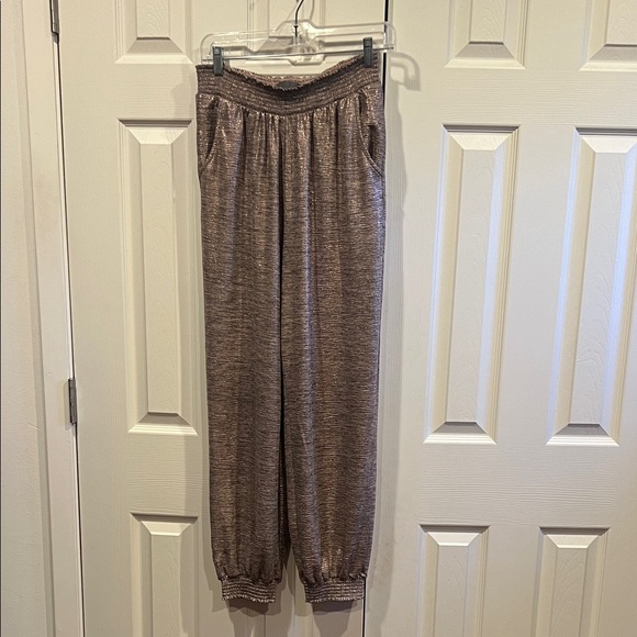 Anthropologie Pants - Anthropologie Textured Shimmer Genie pants/joggers